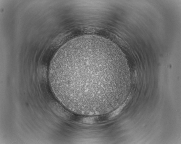 X0000087060178200705091209