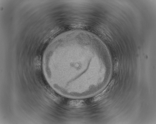 X0000087060179200705091209