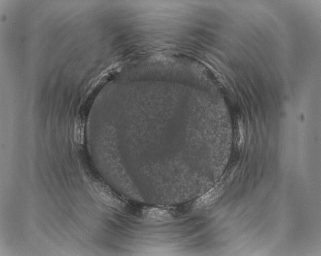 X0000087060180200705091209