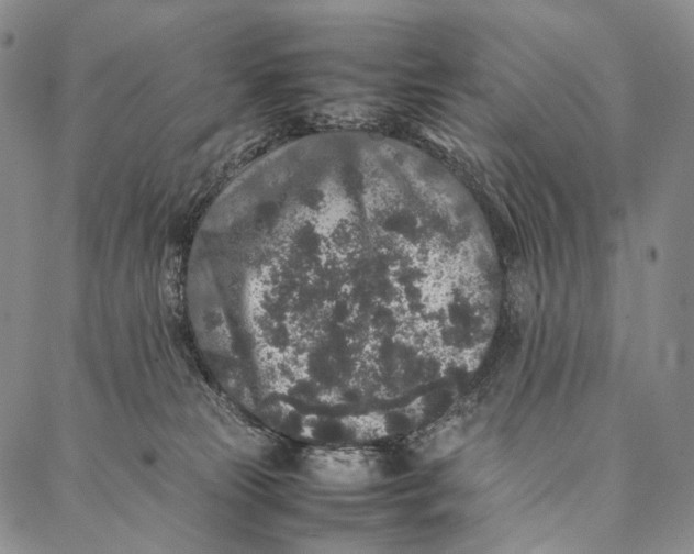 X0000087060181200705091209