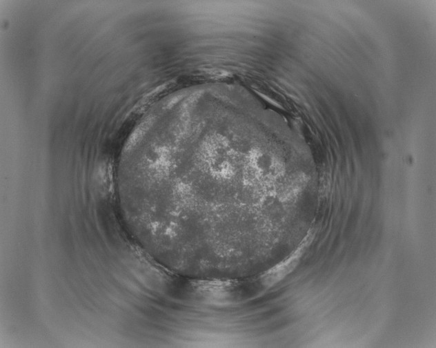 X0000087060182200705091209