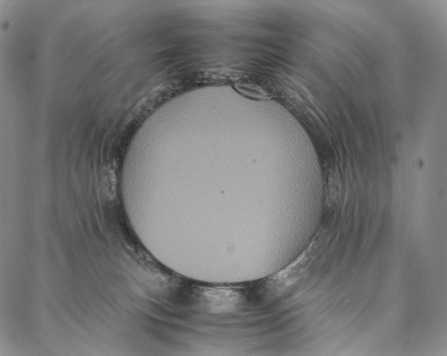 X0000087060183200705091209