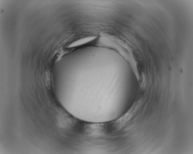 X0000087060184200705091210