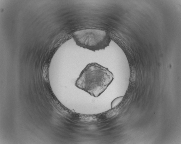 X0000087060185200705091210