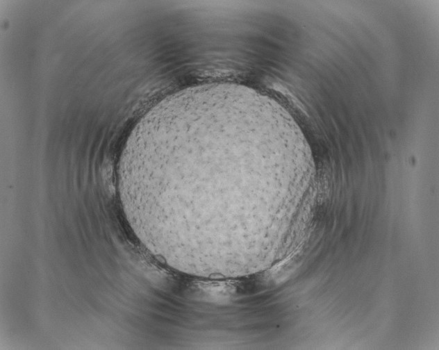 X0000087060187200705091210