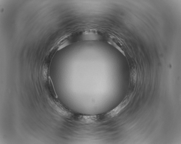 X0000087060188200705091210