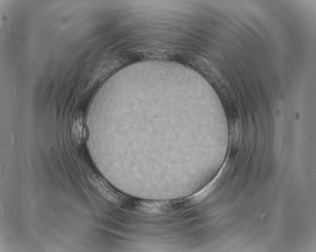 X0000087060190200705091210