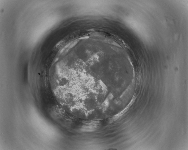 X0000087060191200705091210