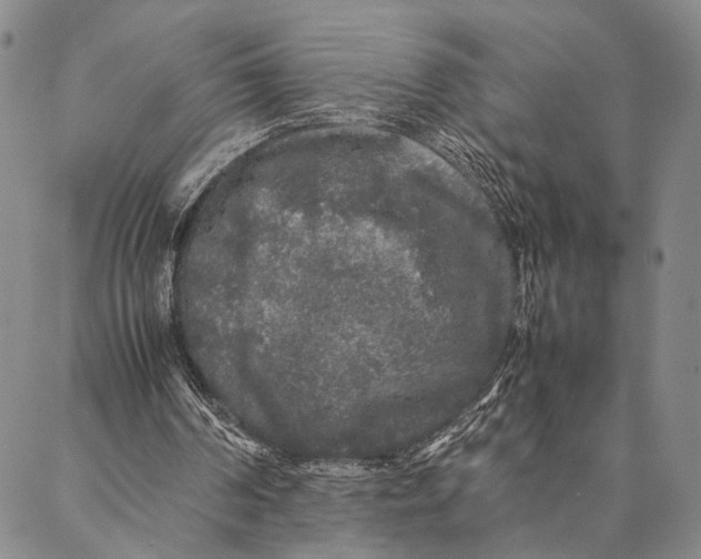 X0000087060194200705091209