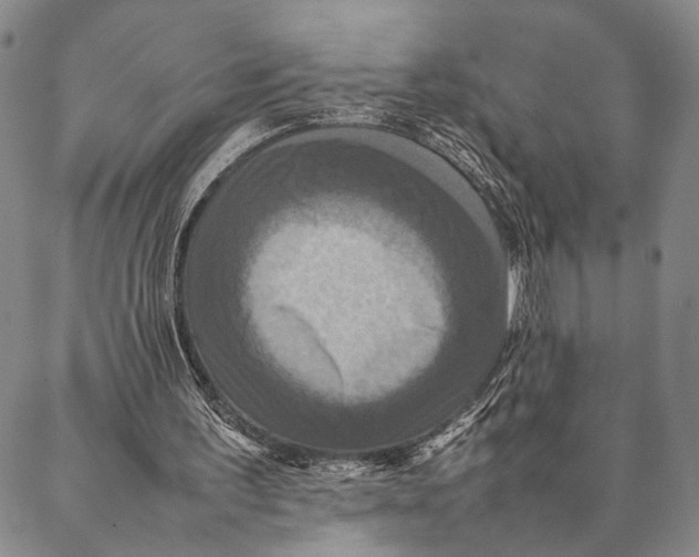 X0000087060195200705091209