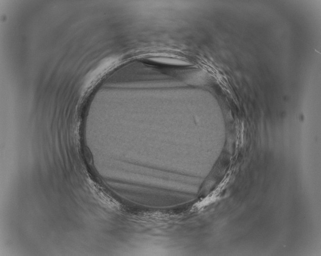 X0000087060197200705091209