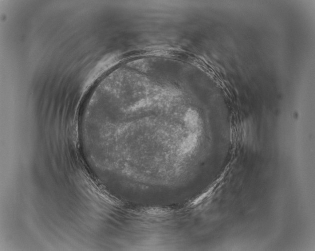 X0000087060198200705091209