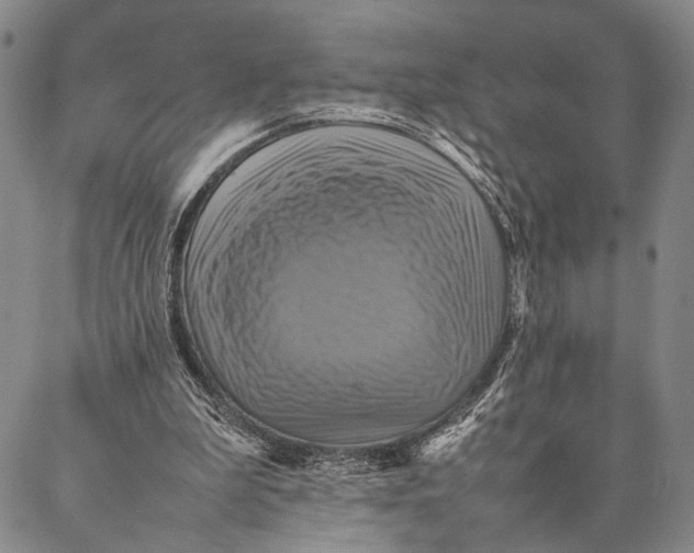 X0000087060199200705091209