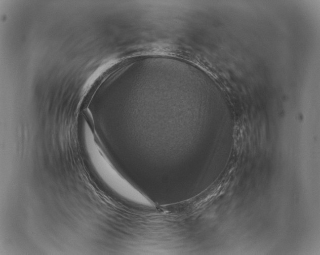 X0000087060200200705091209