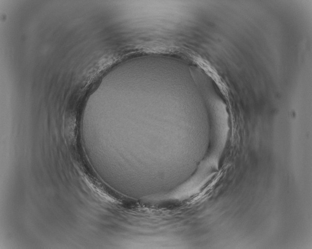 X0000087060201200705091209