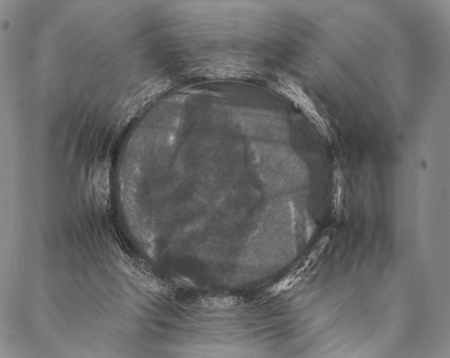 X0000087060202200705091209