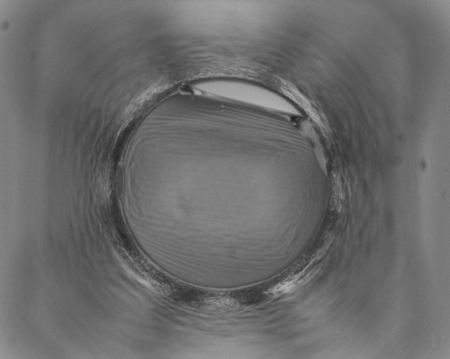 X0000087060203200705091209