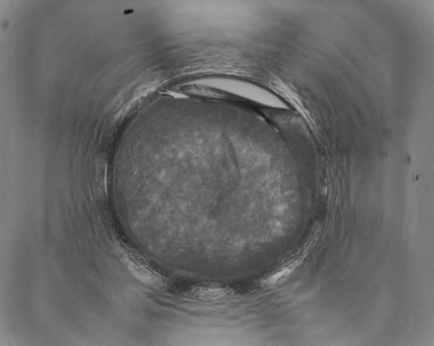 X0000087060205200705091209