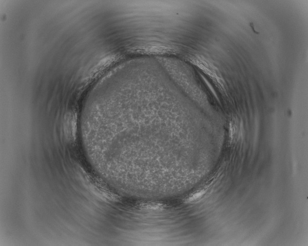 X0000087060206200705091209