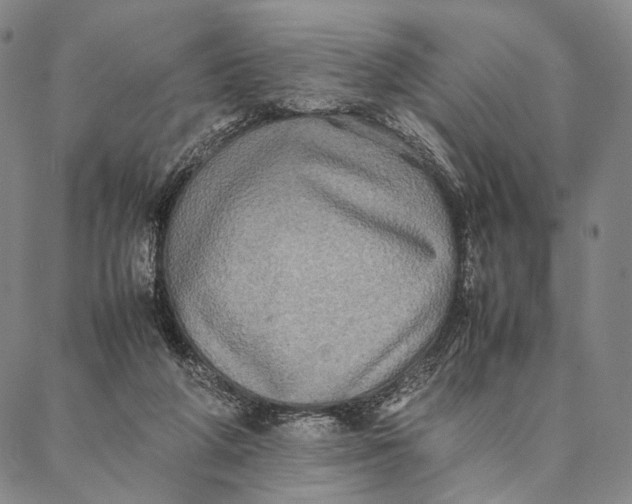 X0000087060210200705091209