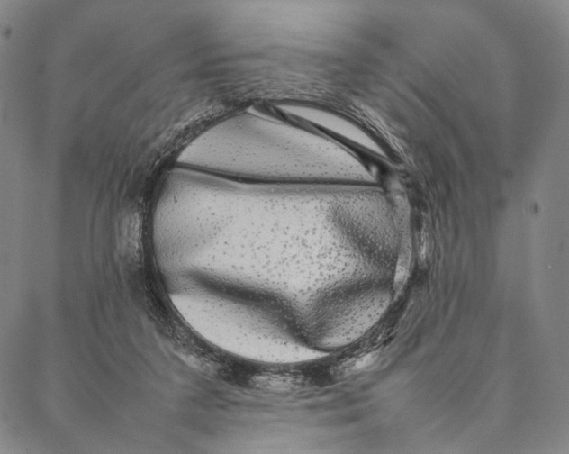 X0000087060211200705091209