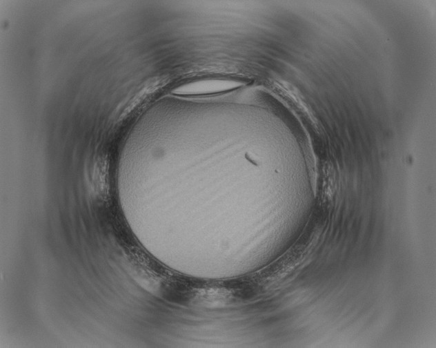 X0000087060212200705091209