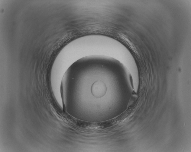 X0000087060213200705091209