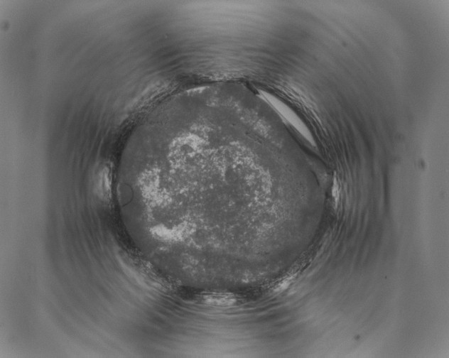 X0000087060214200705091209