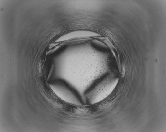 X0000087060215200705091209