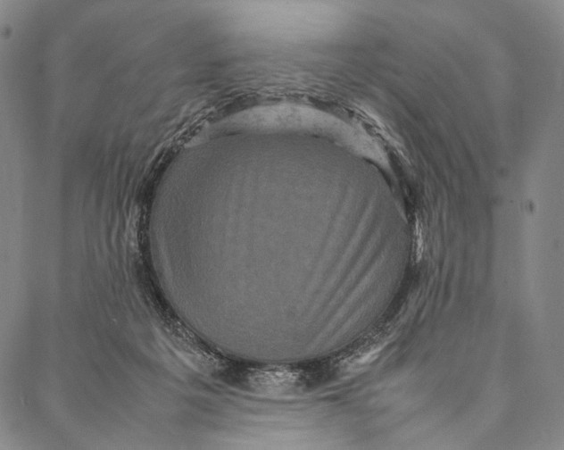 X0000087060217200705091208