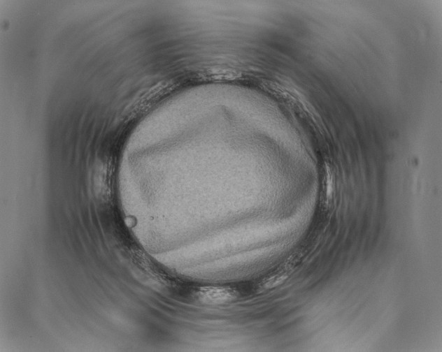 X0000087060218200705091208