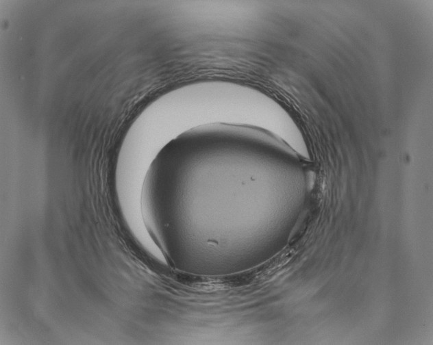 X0000087060219200705091208