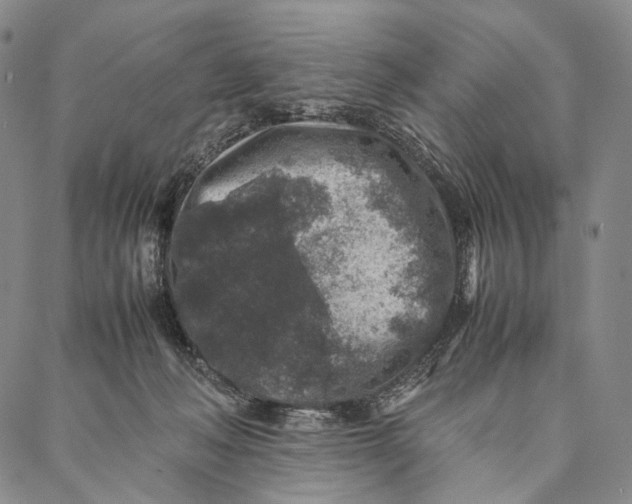 X0000087060222200705091208