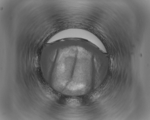 X0000087060224200705091208