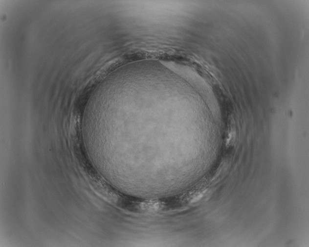 X0000087060225200705091208