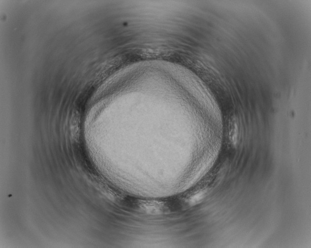 X0000087060226200705091208