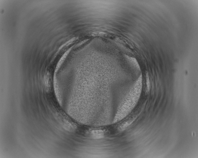 X0000087060228200705091208