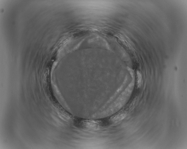 X0000087060229200705091208