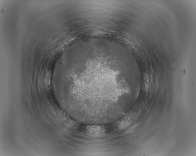 X0000087060230200705091208