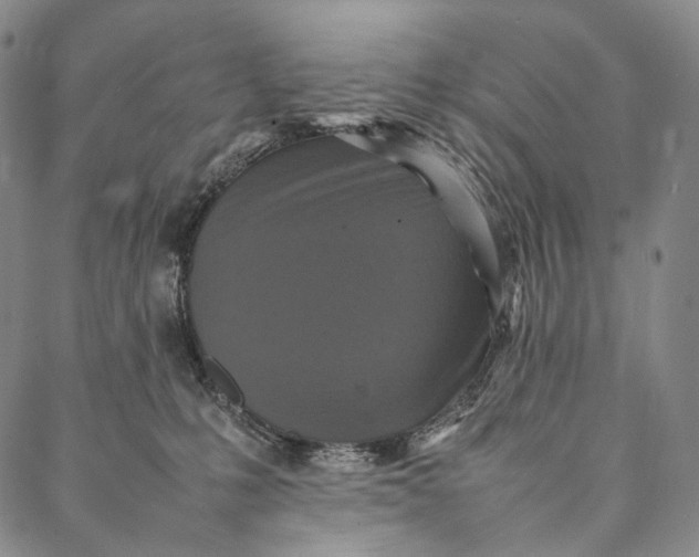 X0000087060231200705091208