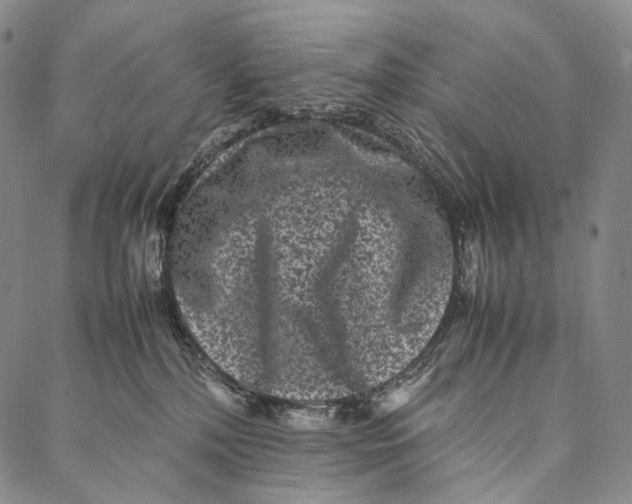 X0000087060232200705091208