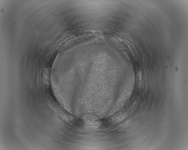 X0000087060234200705091208