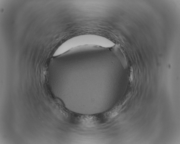 X0000087060235200705091208