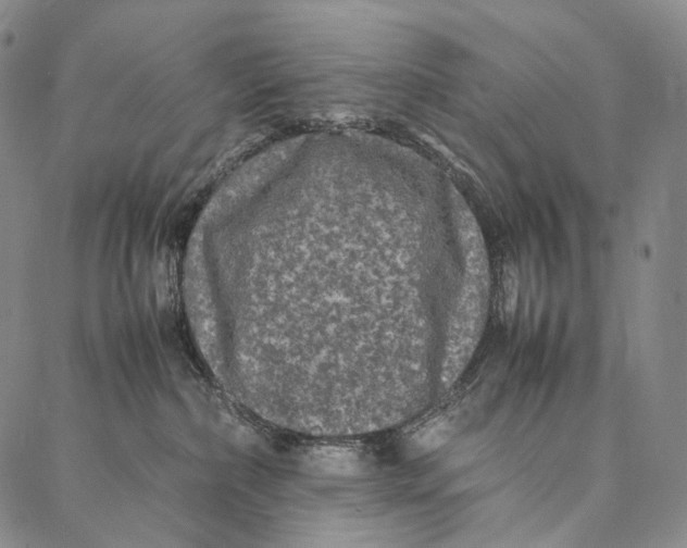 X0000087060236200705091208