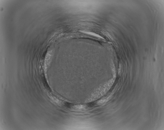 X0000087060237200705091208