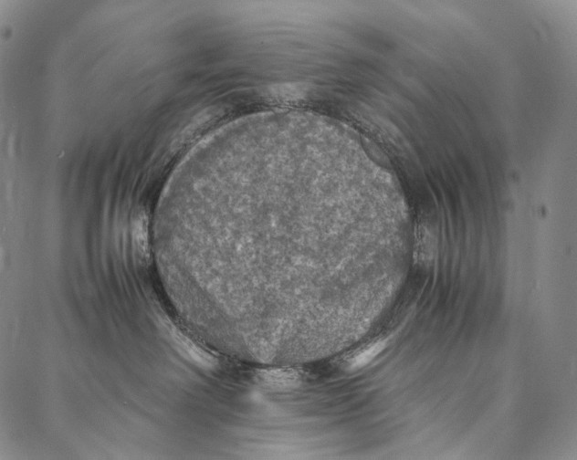 X0000087060238200705091208