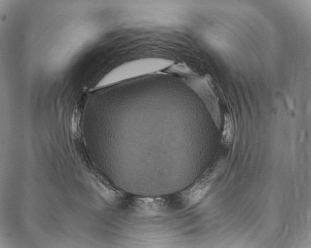 X0000087060239200705091208