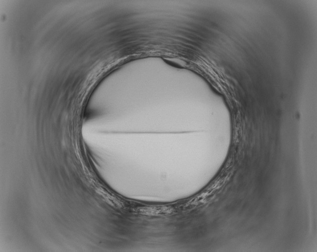 X0000087060241200705091207