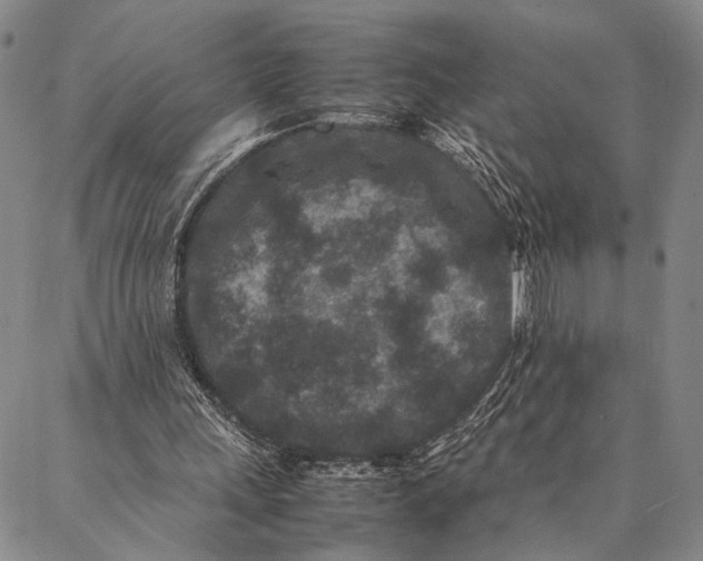 X0000087060243200705091207