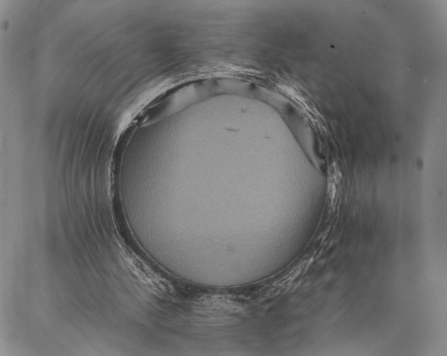 X0000087060244200705091207